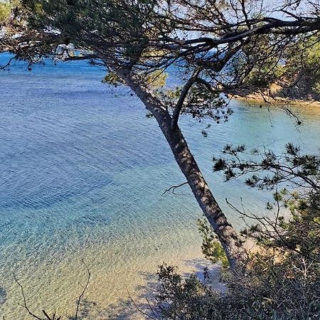 Appartement Dans Residence Avec Piscine La Londe-les-Maures Dış mekan fotoğraf