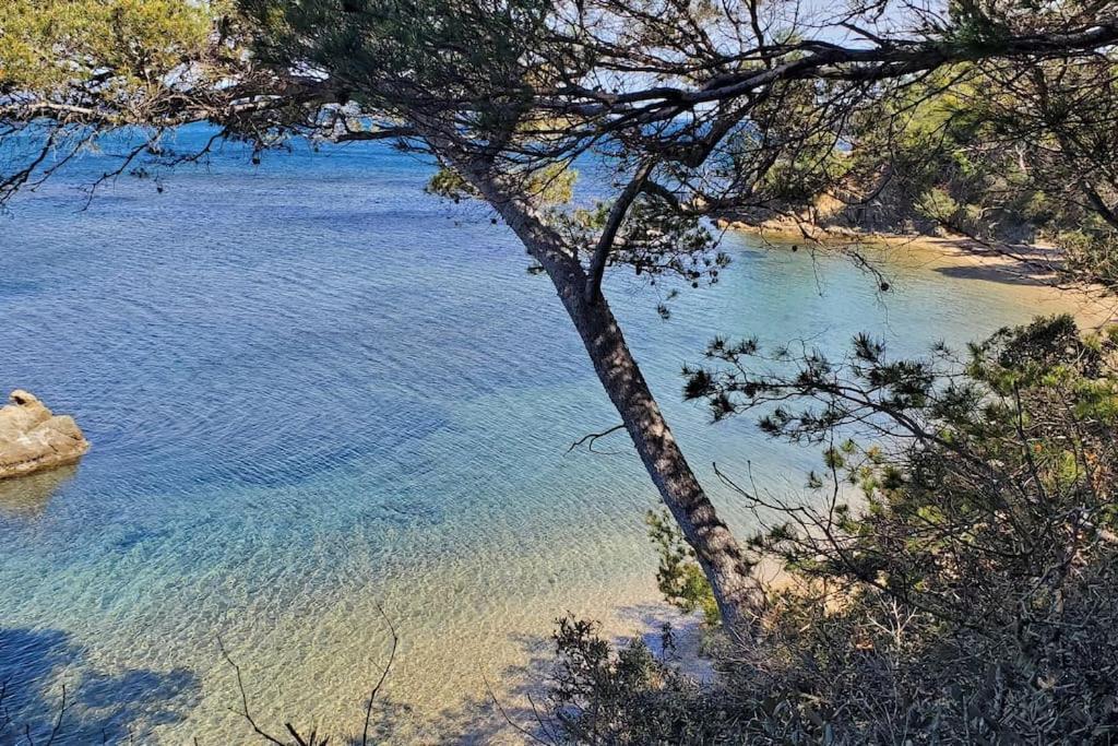 Appartement Dans Residence Avec Piscine La Londe-les-Maures Dış mekan fotoğraf